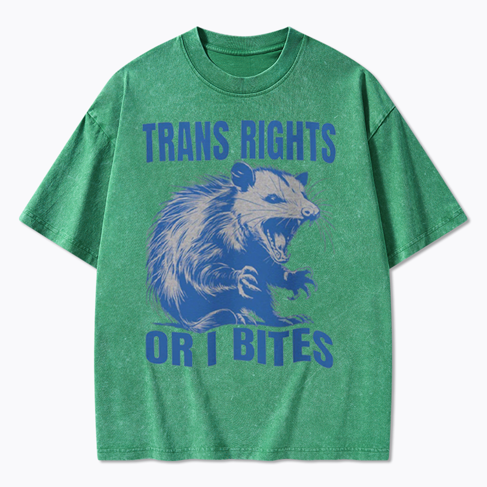 Trans Rights Washed T-Shirt
