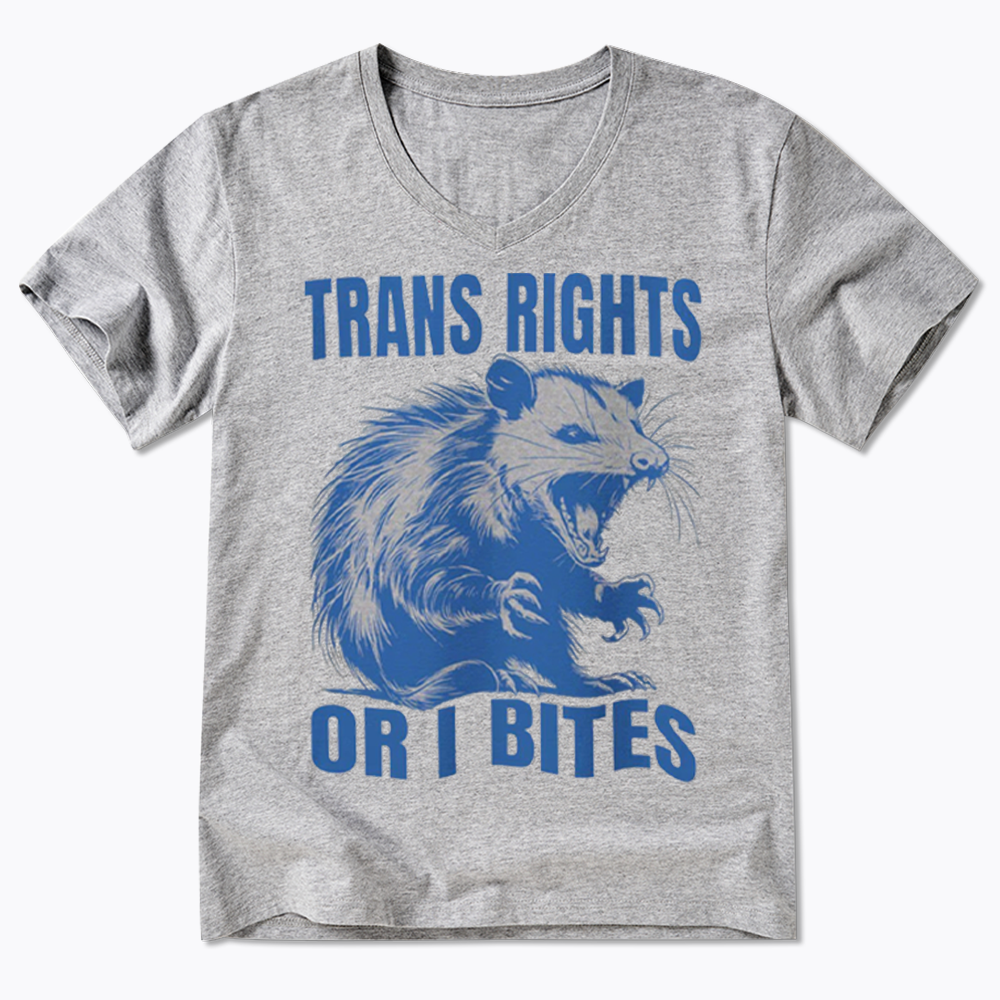 Trans Rights V-Neck Classic T-Shirt