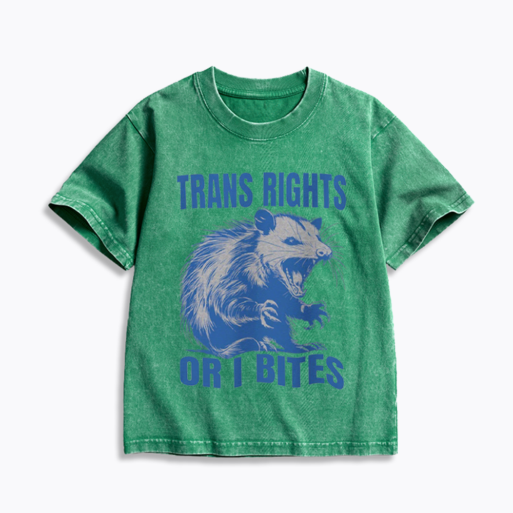 Trans Rights Kids Washed T-Shirt 