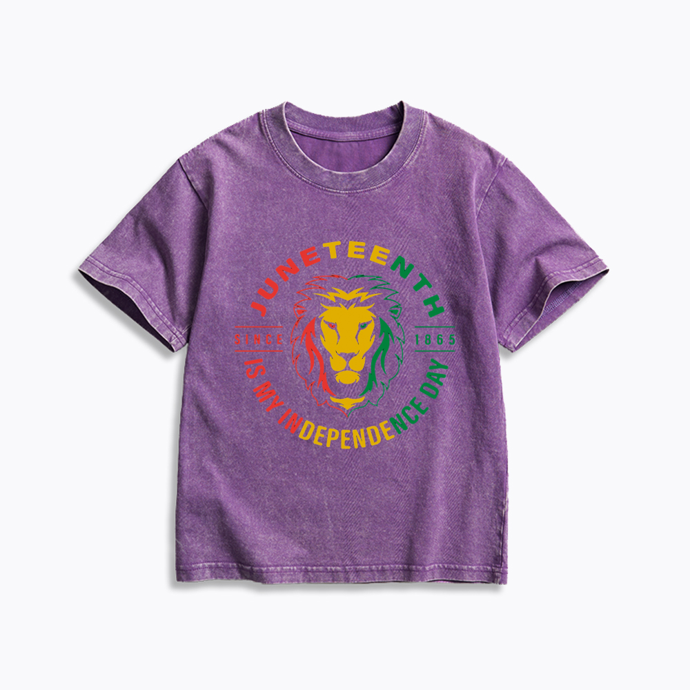 Juneteenth History Kids Washed T-Shirt