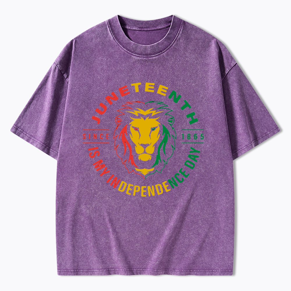 Juneteenth History Washed T-Shirt