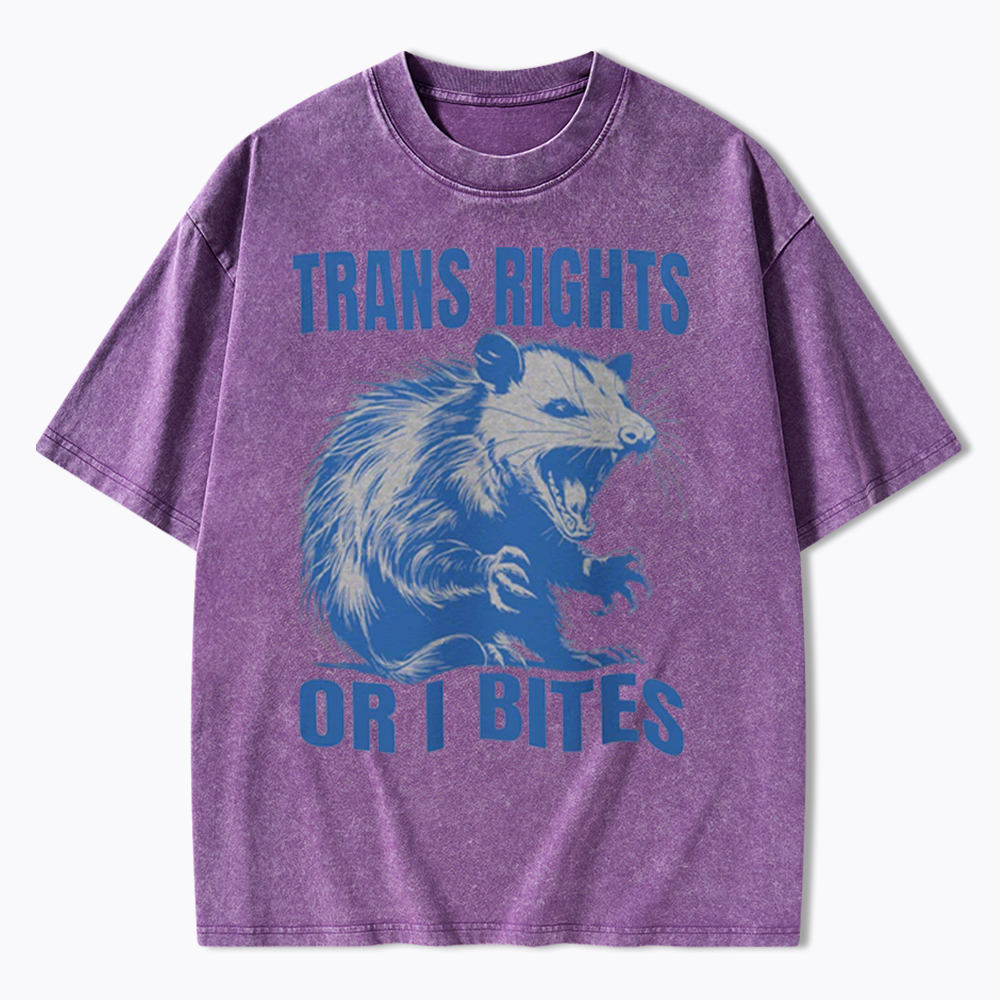 Trans Rights Washed T-Shirt