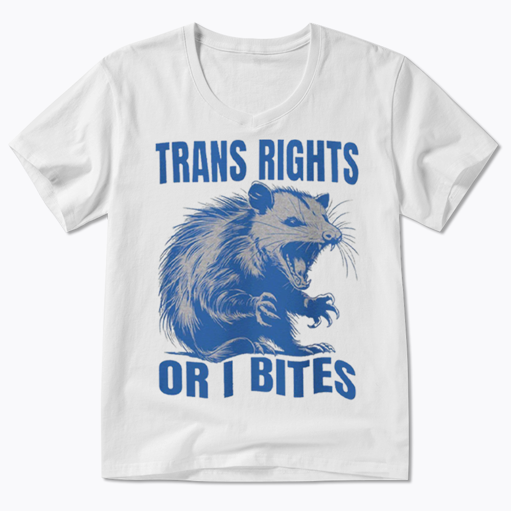 Trans Rights V-Neck Classic T-Shirt