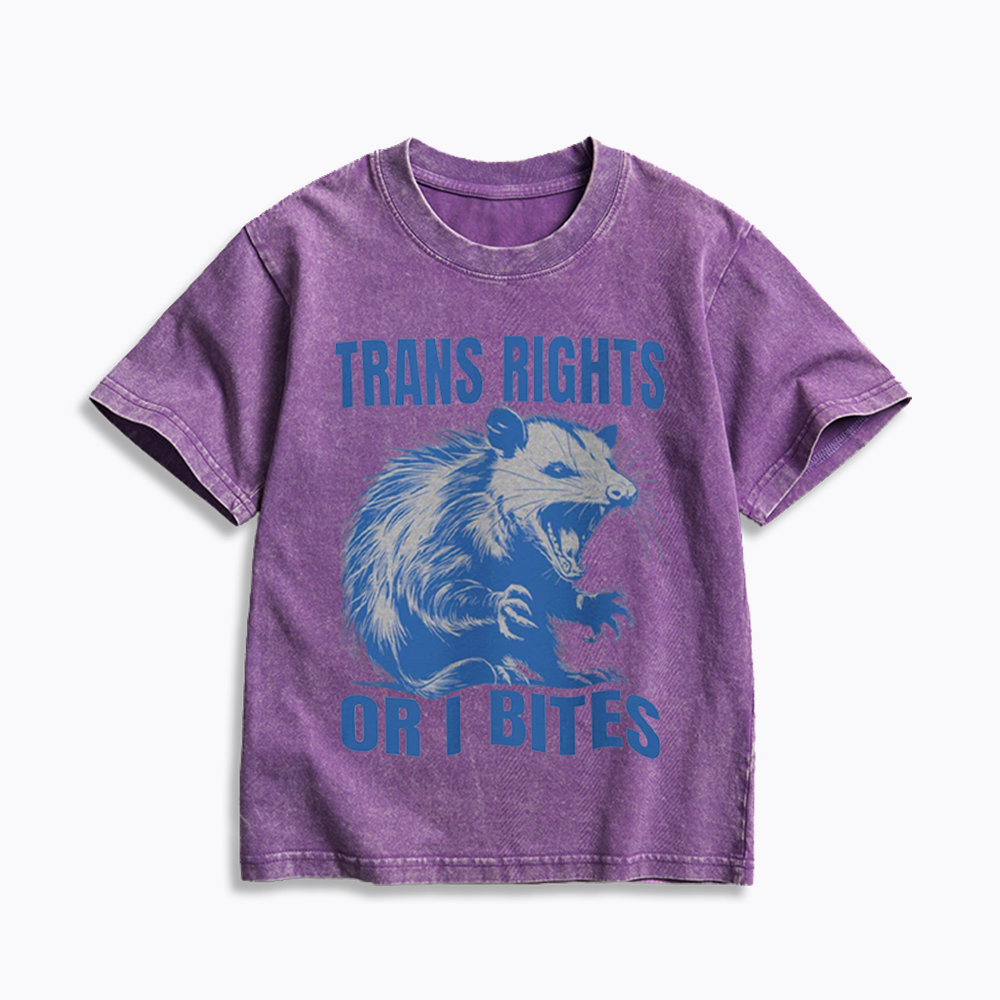 Trans Rights Kids Washed T-Shirt 