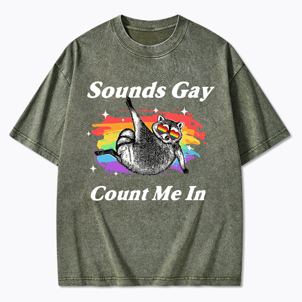 Sounds Gay Raccoon Pride  Washed T-Shirt