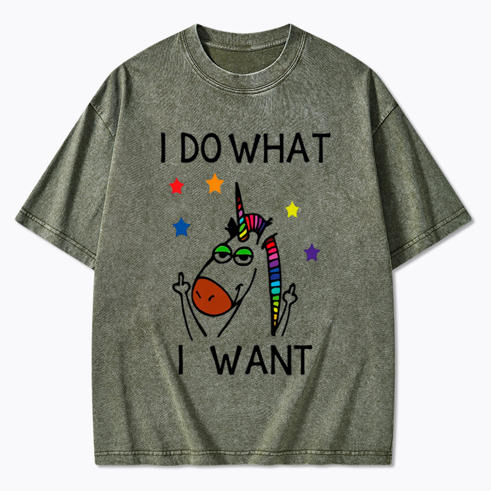 I Do What I Want Unicorn Lesbian Gay LGBTQ+ Washed T-Shirt