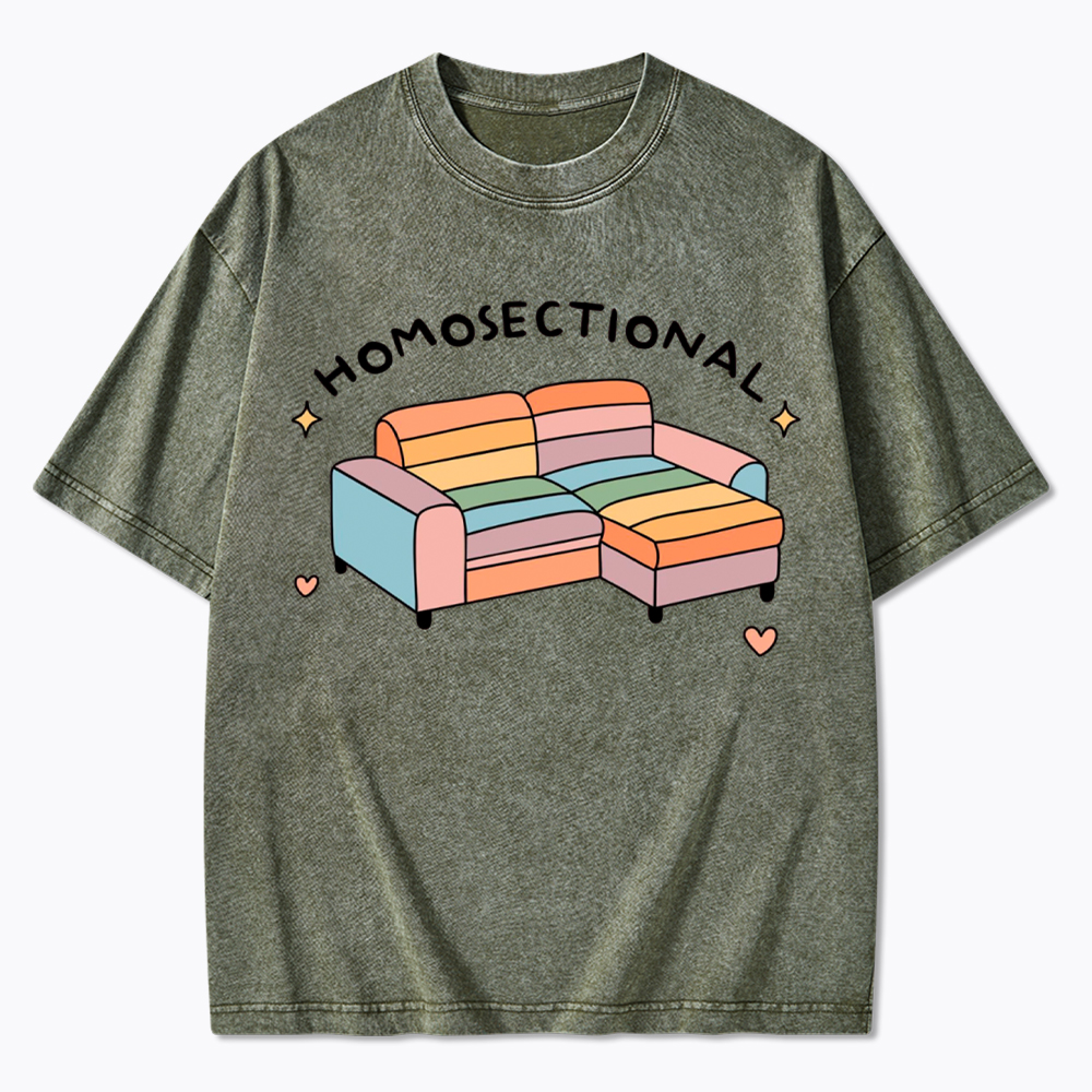 Homosectional Funny LGBTQ+ Pride Washed T-Shirt