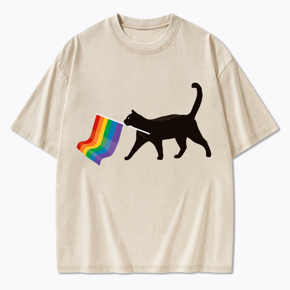 A Little Gay Cat Friend Washed T-Shirt