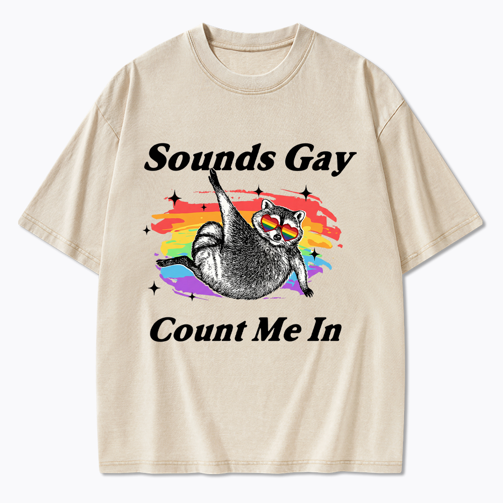 Sounds Gay Raccoon Pride  Washed T-Shirt