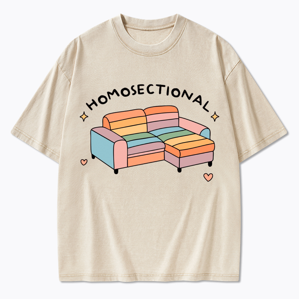 Homosectional Funny LGBTQ+ Pride Washed T-Shirt