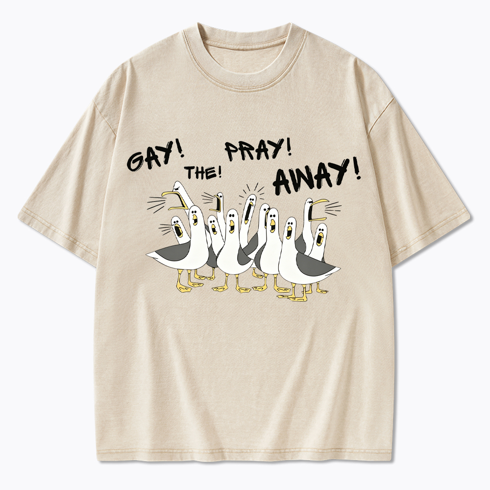 Gay The Pray Away Seagull Washed T-Shirt