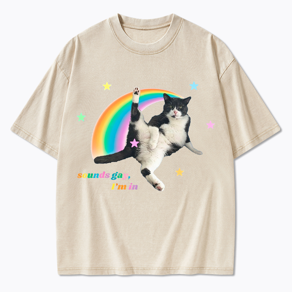 Sounds gay, I'm in Washed T-Shirt