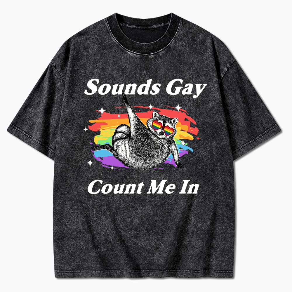 Sounds Gay Raccoon Pride  Washed T-Shirt
