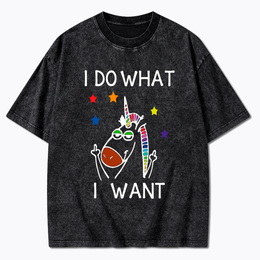 I Do What I Want Unicorn Lesbian Gay LGBTQ+ Washed T-Shirt