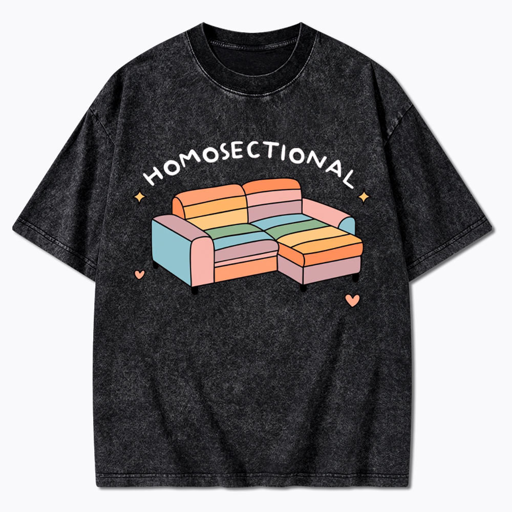 Homosectional Funny LGBTQ+ Pride Washed T-Shirt