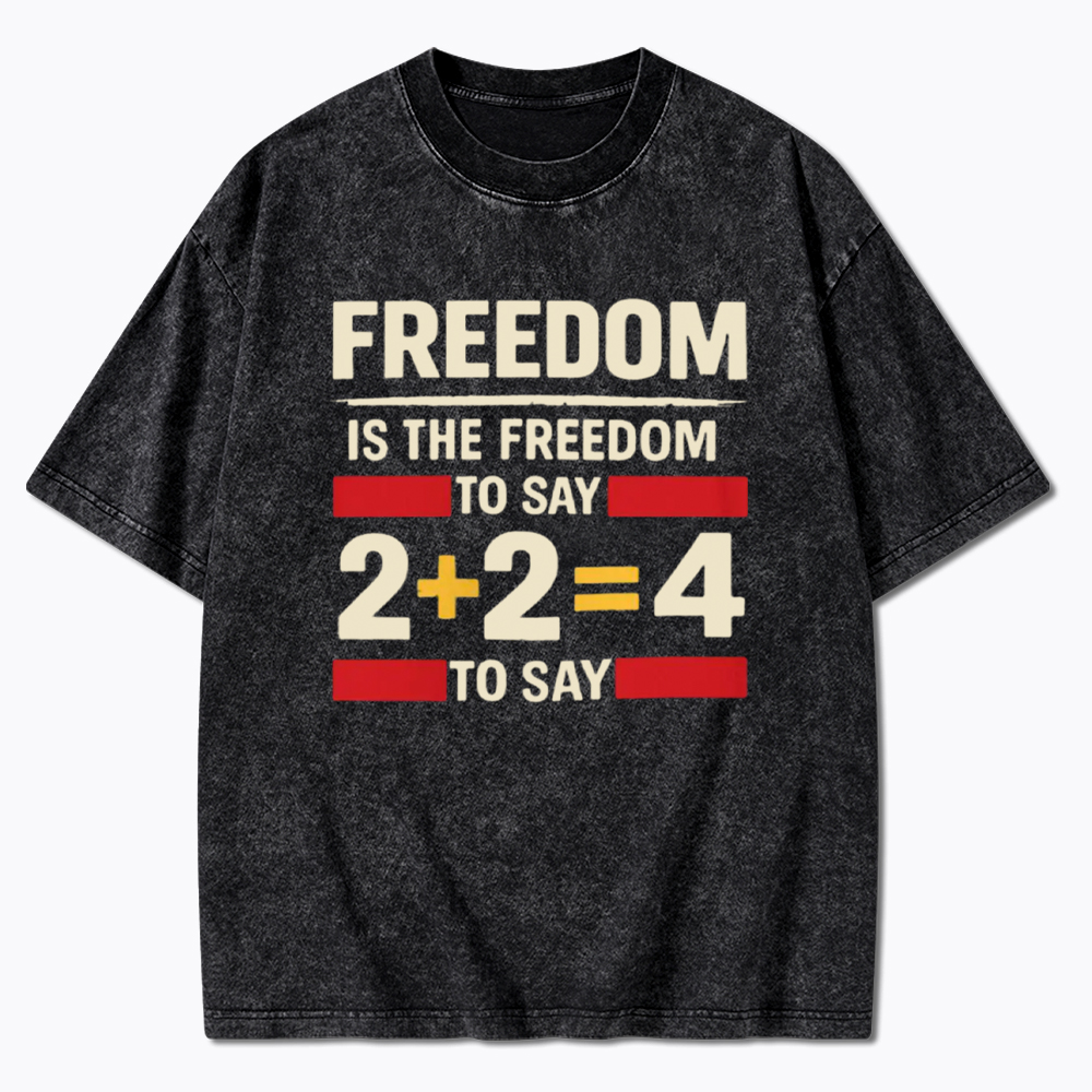Freedom 2+2=4 Washed T-Shirt