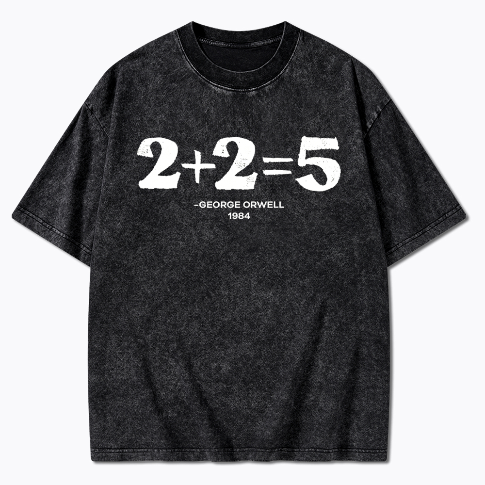 2 + 2 = 5 Washed T-Shirt