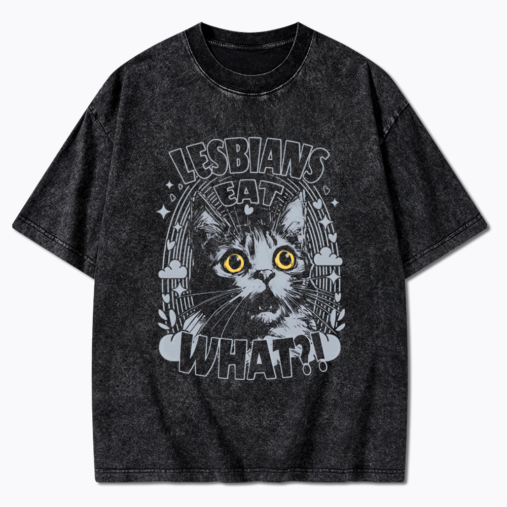 Cat LGBTQ Lesbians Eat what Washed T-Shirt