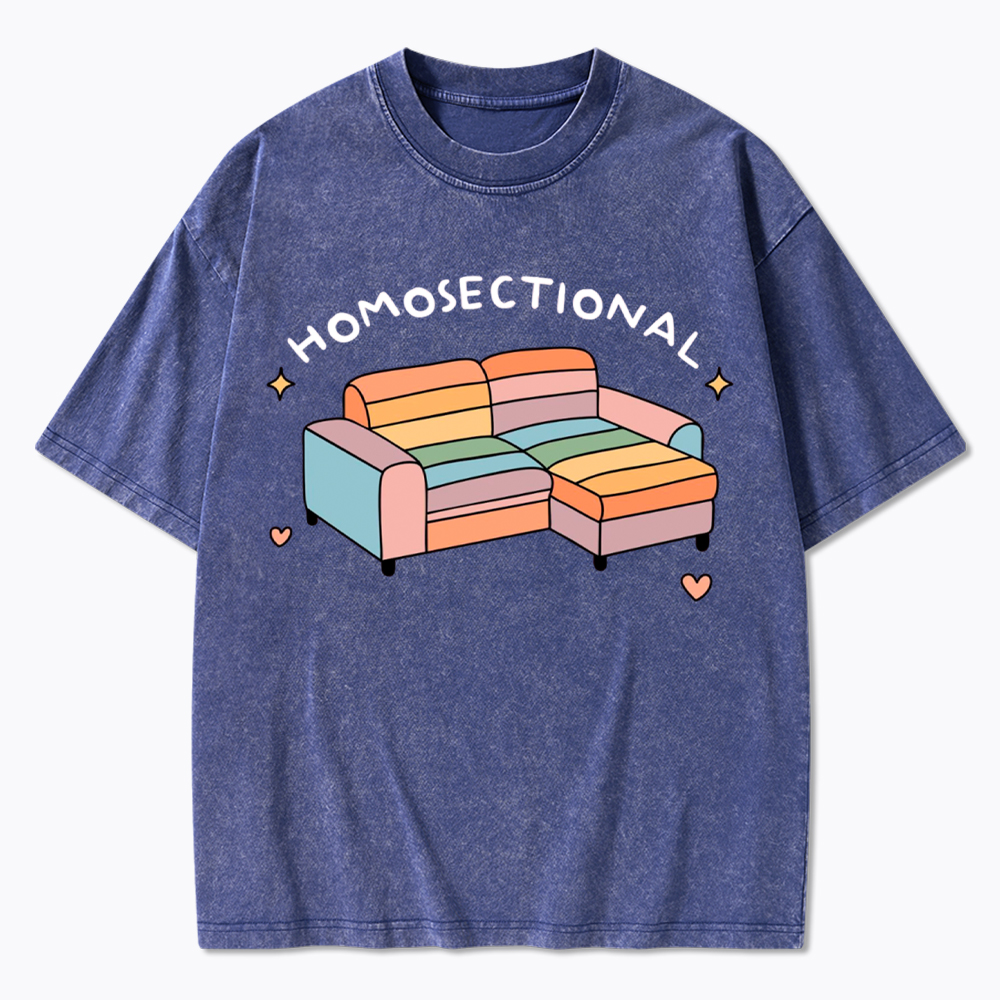 Homosectional Funny LGBTQ+ Pride Washed T-Shirt