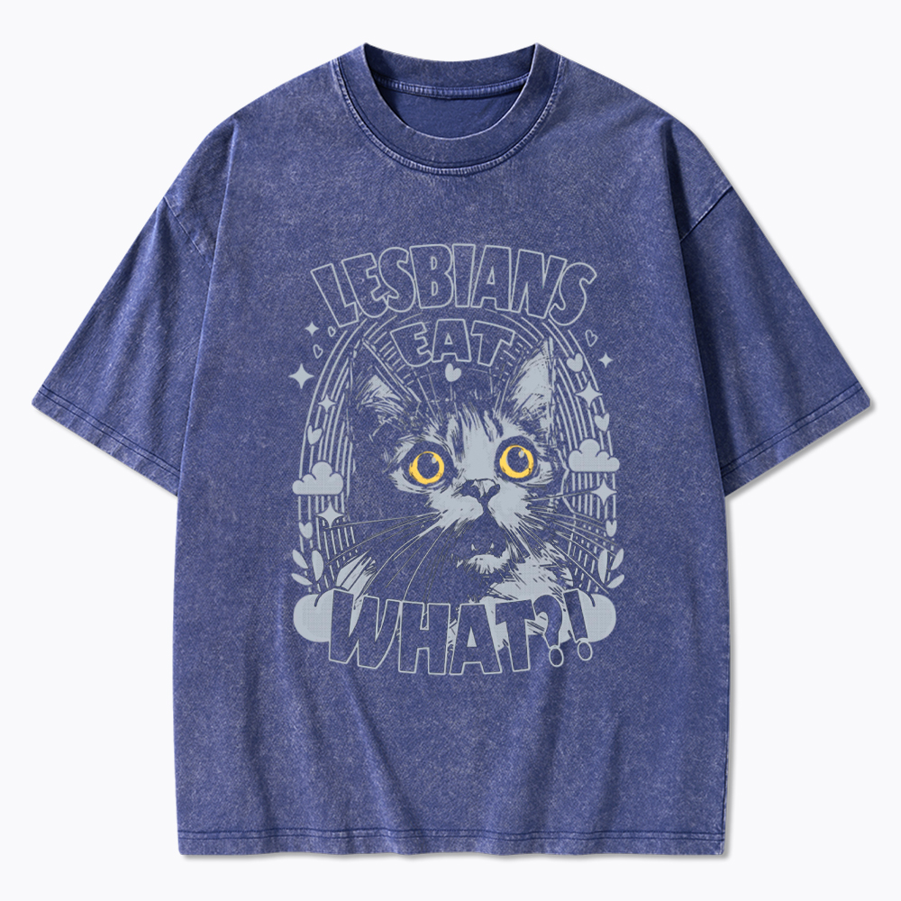 Cat LGBTQ Lesbians Eat what Washed T-Shirt