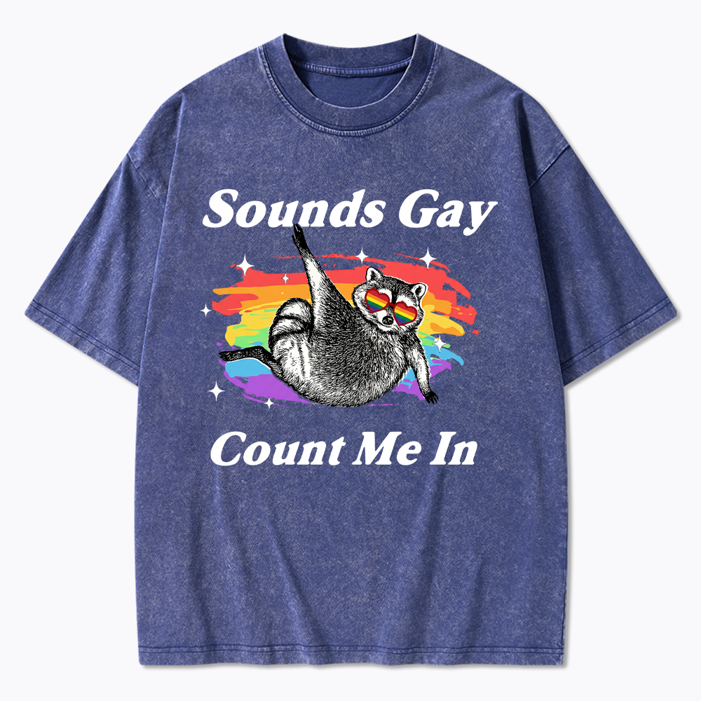 Sounds Gay Raccoon Pride  Washed T-Shirt