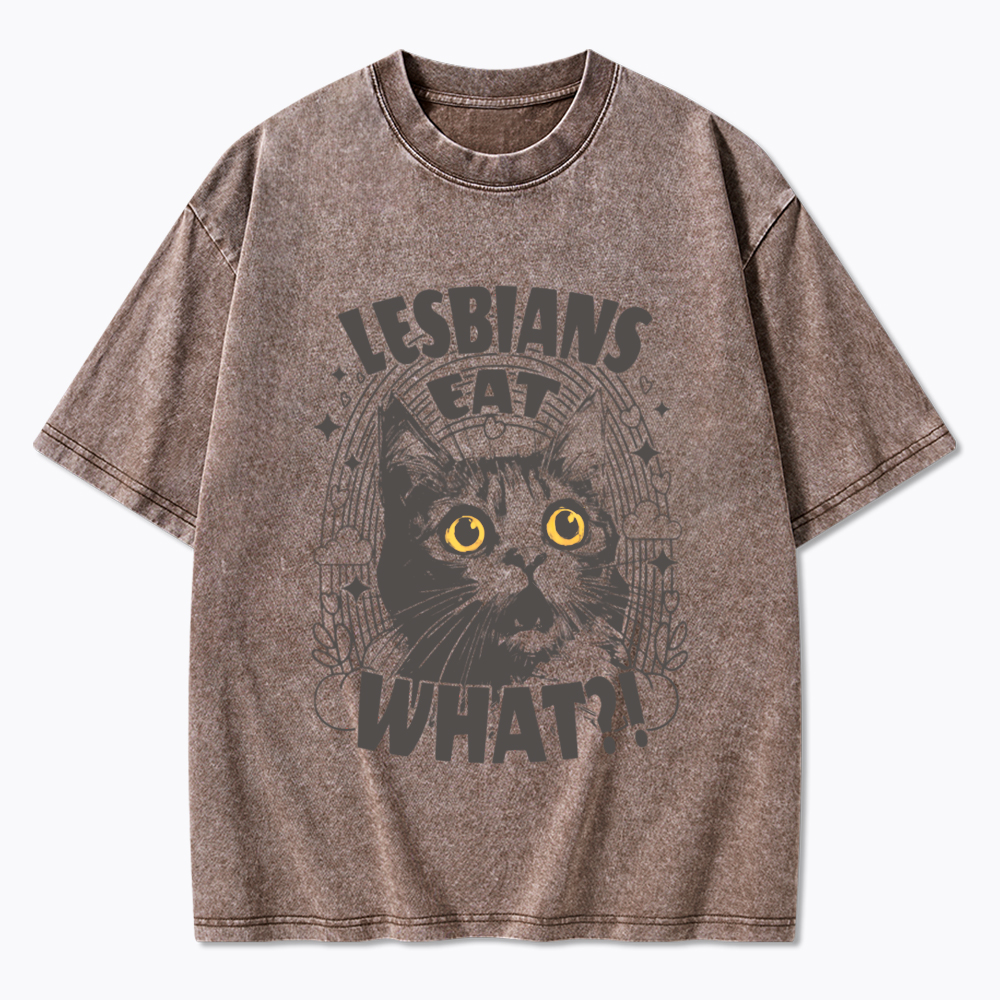 Cat LGBTQ Lesbians Eat what Washed T-Shirt