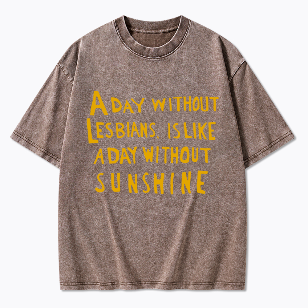 Day Without Sunshine Lesbian Washed T-Shirt