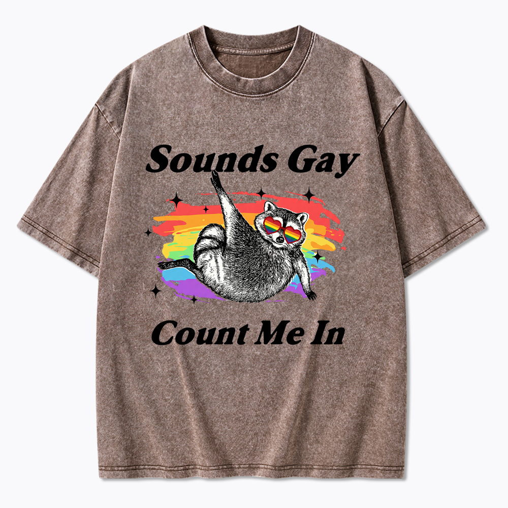 Sounds Gay Raccoon Pride  Washed T-Shirt