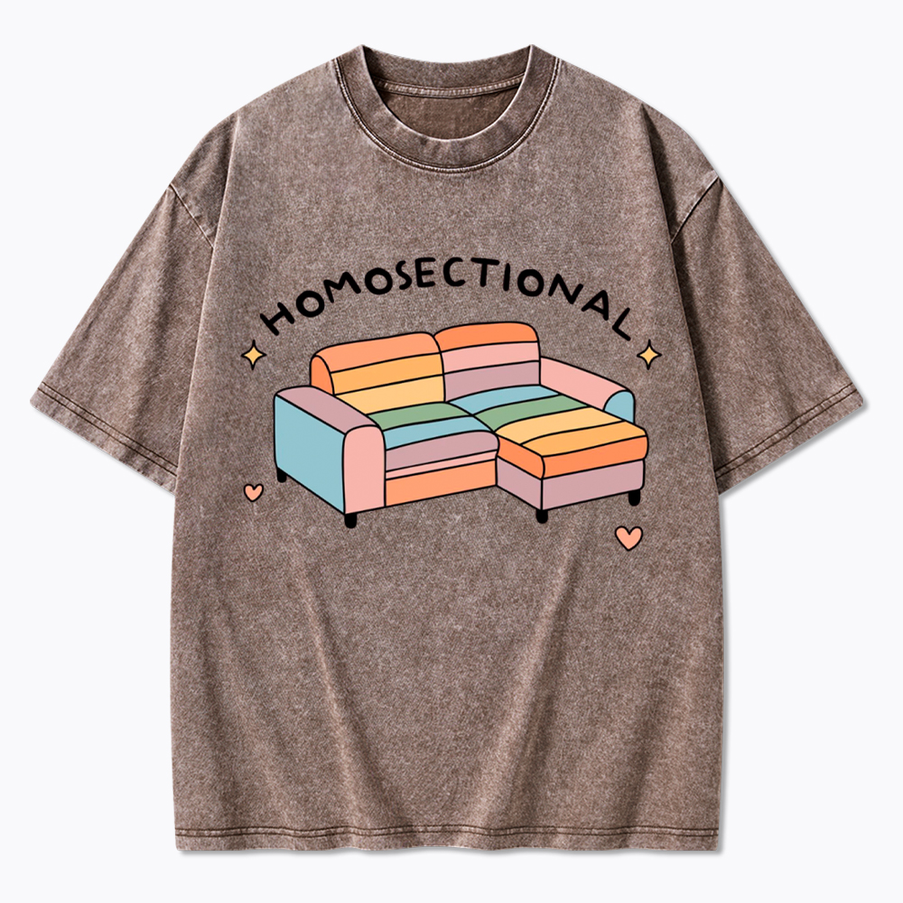 Homosectional Funny LGBTQ+ Pride Washed T-Shirt