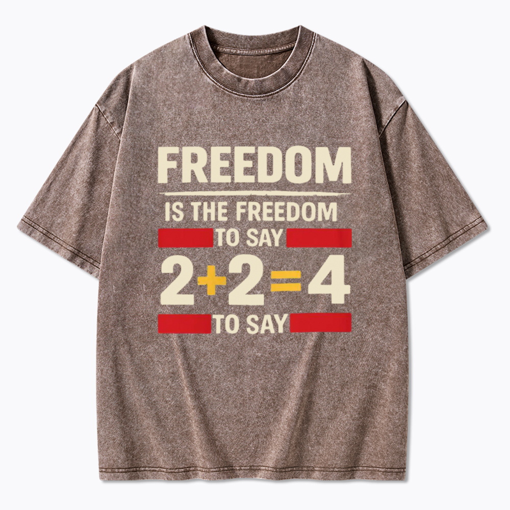 Freedom 2+2=4 Washed T-Shirt