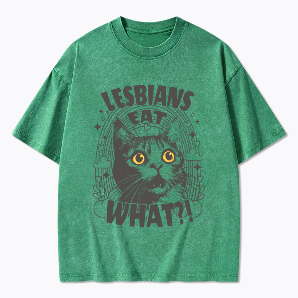 Cat LGBTQ Lesbians Eat what Washed T-Shirt