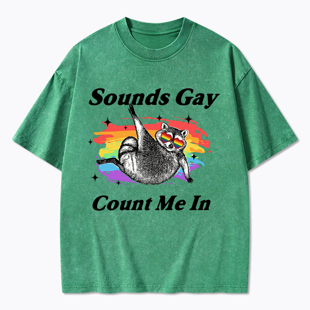 Sounds Gay Raccoon Pride  Washed T-Shirt