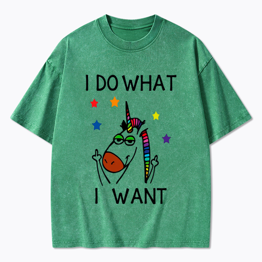 I Do What I Want Unicorn Lesbian Gay LGBTQ+ Washed T-Shirt