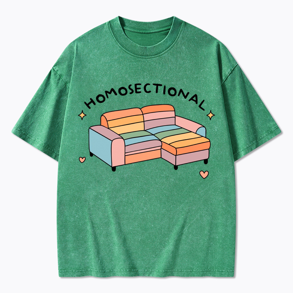 Homosectional Funny LGBTQ+ Pride Washed T-Shirt