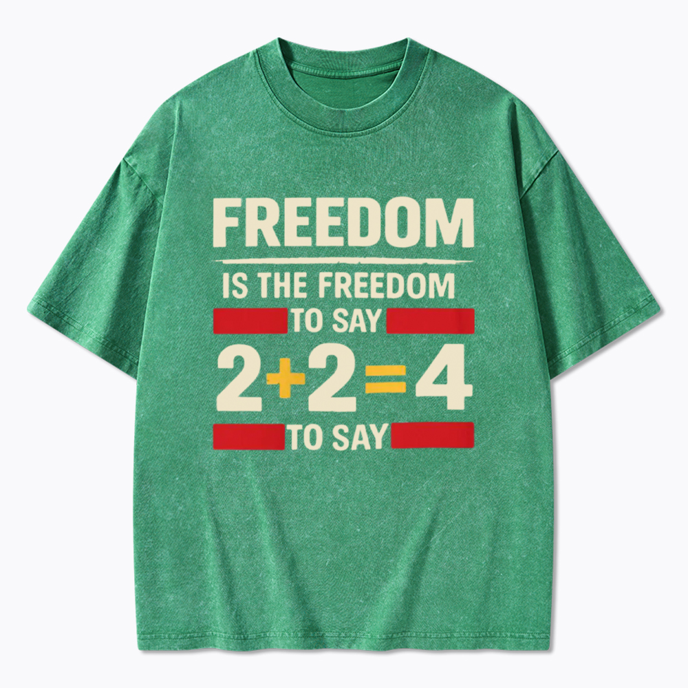 Freedom 2+2=4 Washed T-Shirt