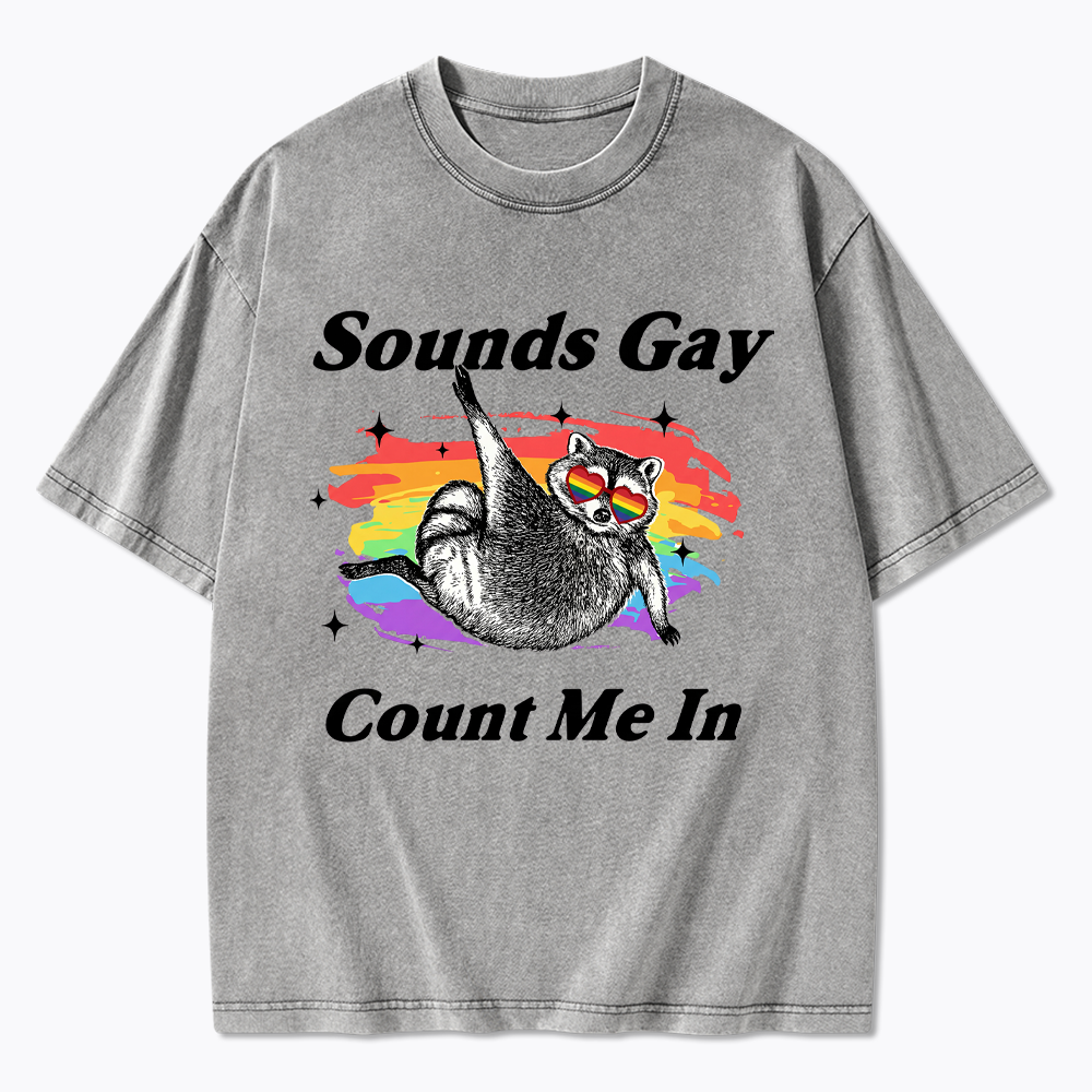 Sounds Gay Raccoon Pride  Washed T-Shirt