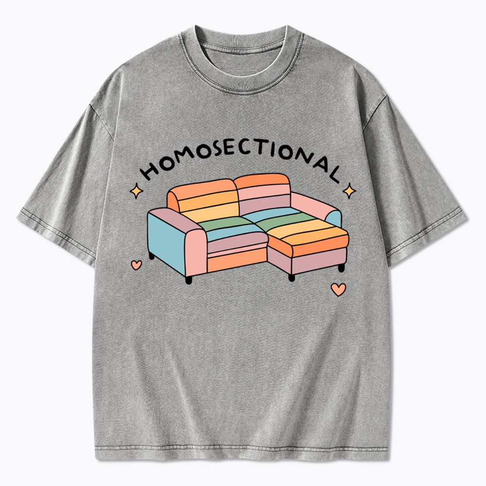 Homosectional Funny LGBTQ+ Pride Washed T-Shirt