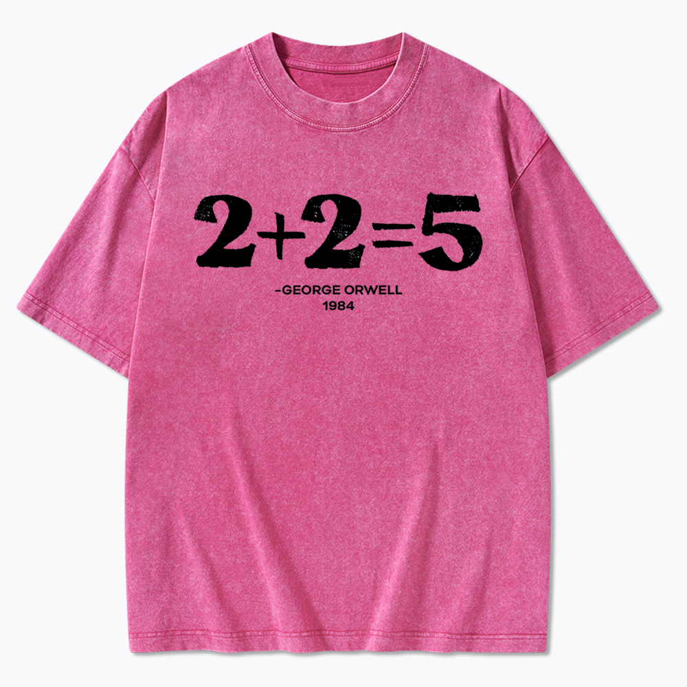 2 + 2 = 5 Washed T-Shirt