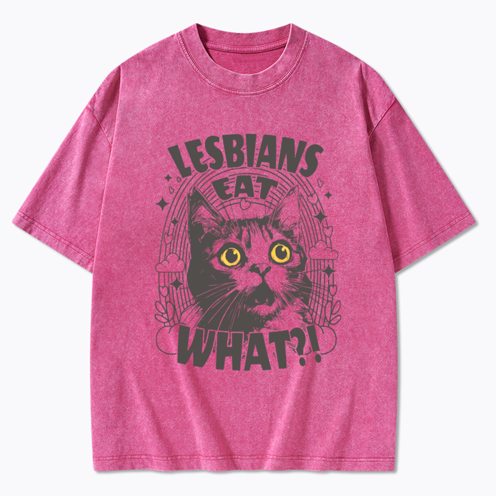 Cat LGBTQ Lesbians Eat what Washed T-Shirt