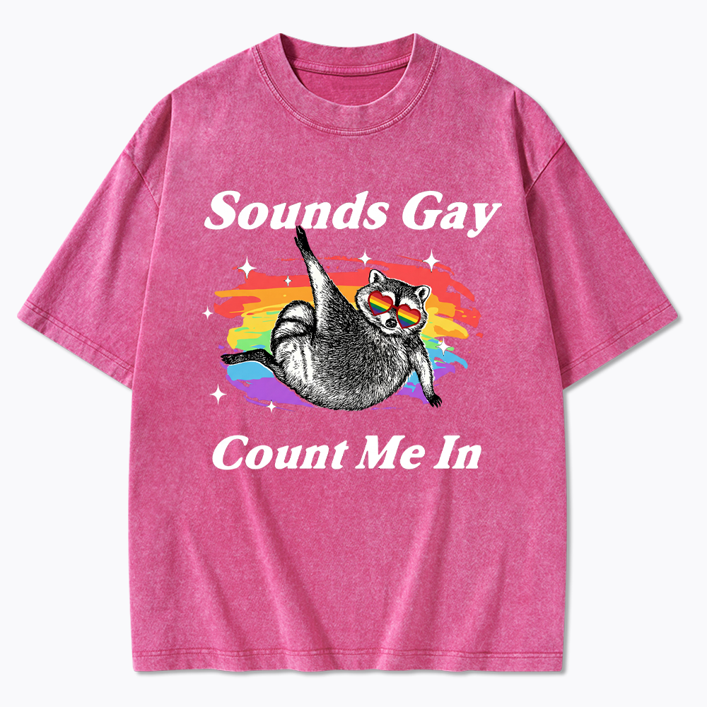 Sounds Gay Raccoon Pride  Washed T-Shirt