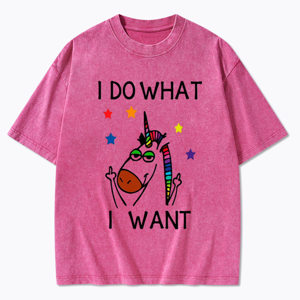 I Do What I Want Unicorn Lesbian Gay LGBTQ+ Washed T-Shirt