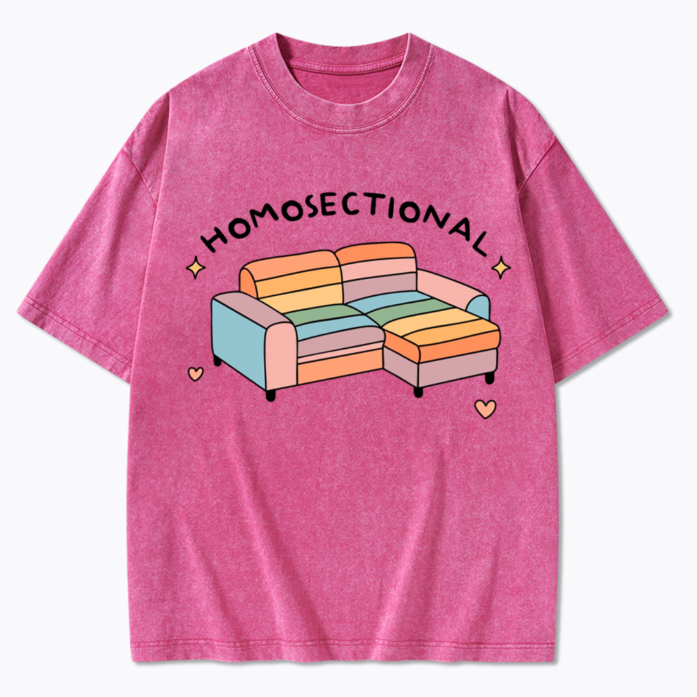 Homosectional Funny LGBTQ+ Pride Washed T-Shirt