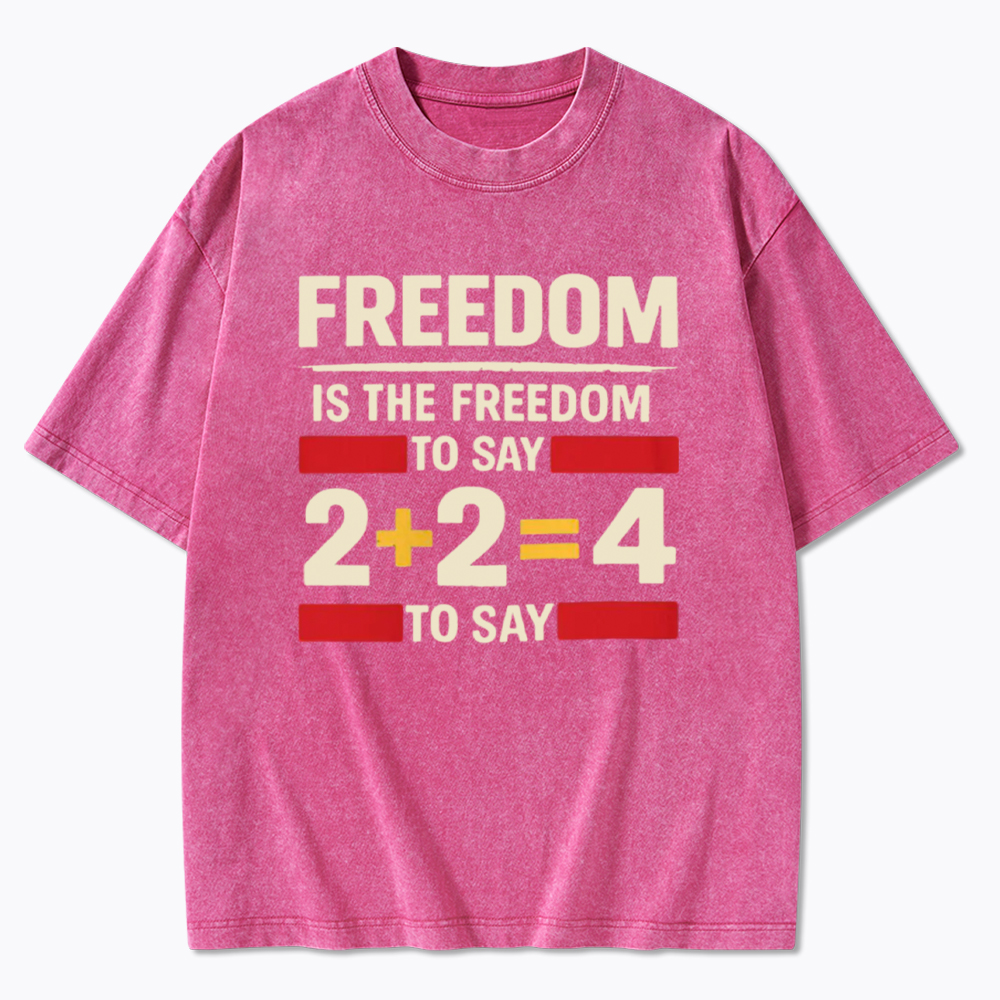 Freedom 2+2=4 Washed T-Shirt