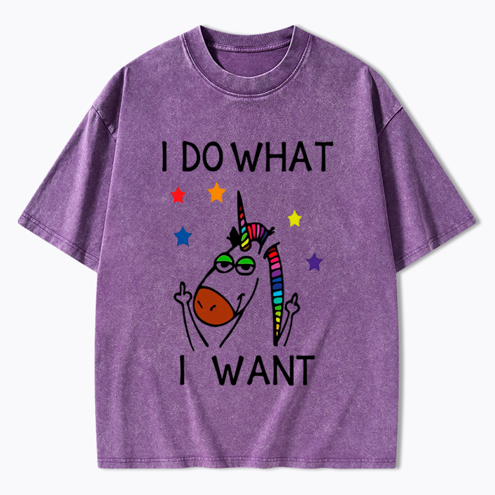 I Do What I Want Unicorn Lesbian Gay LGBTQ+ Washed T-Shirt