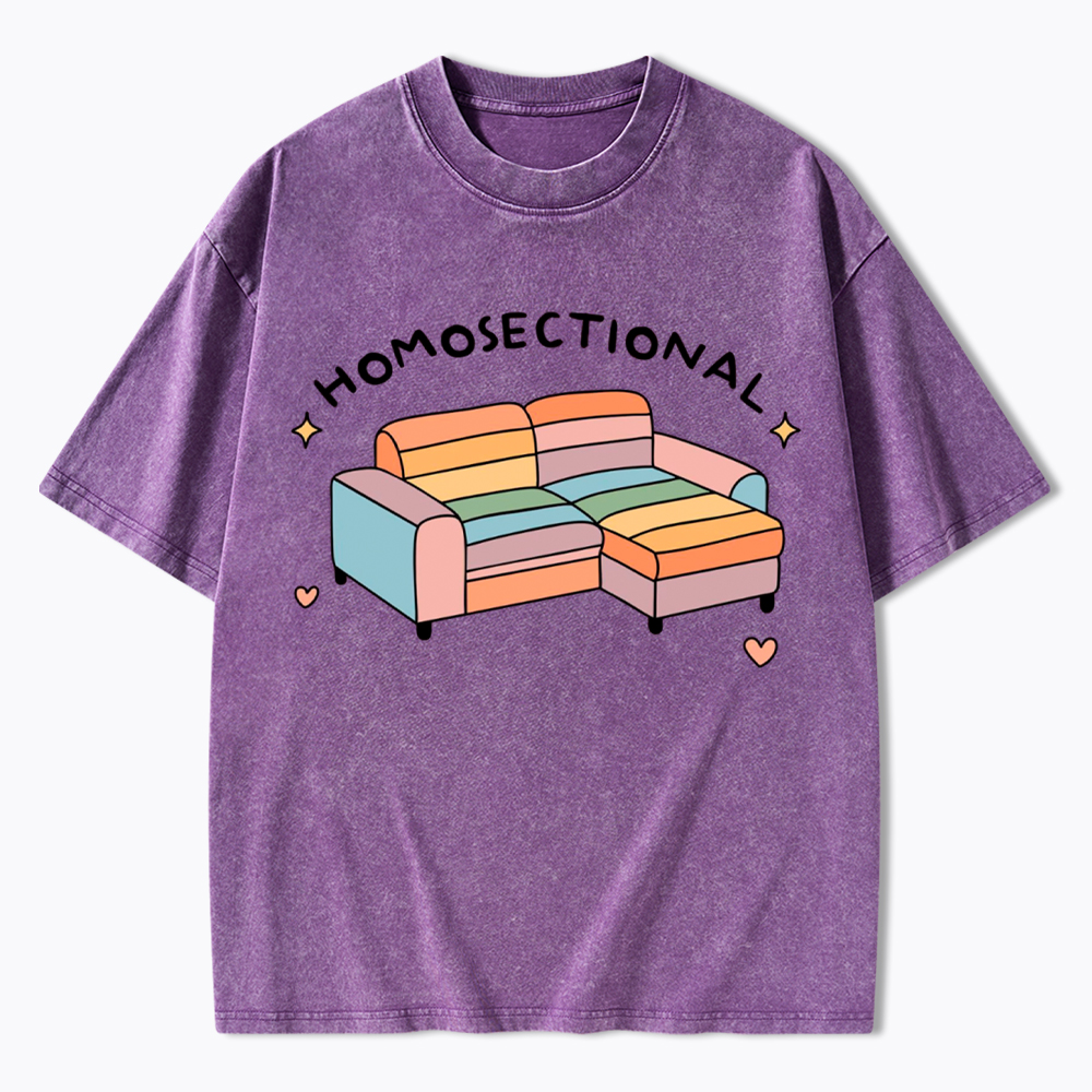 Homosectional Funny LGBTQ+ Pride Washed T-Shirt