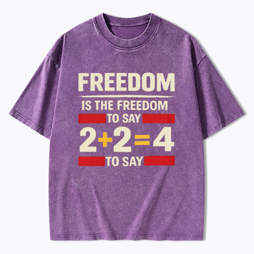 Freedom 2+2=4 Washed T-Shirt