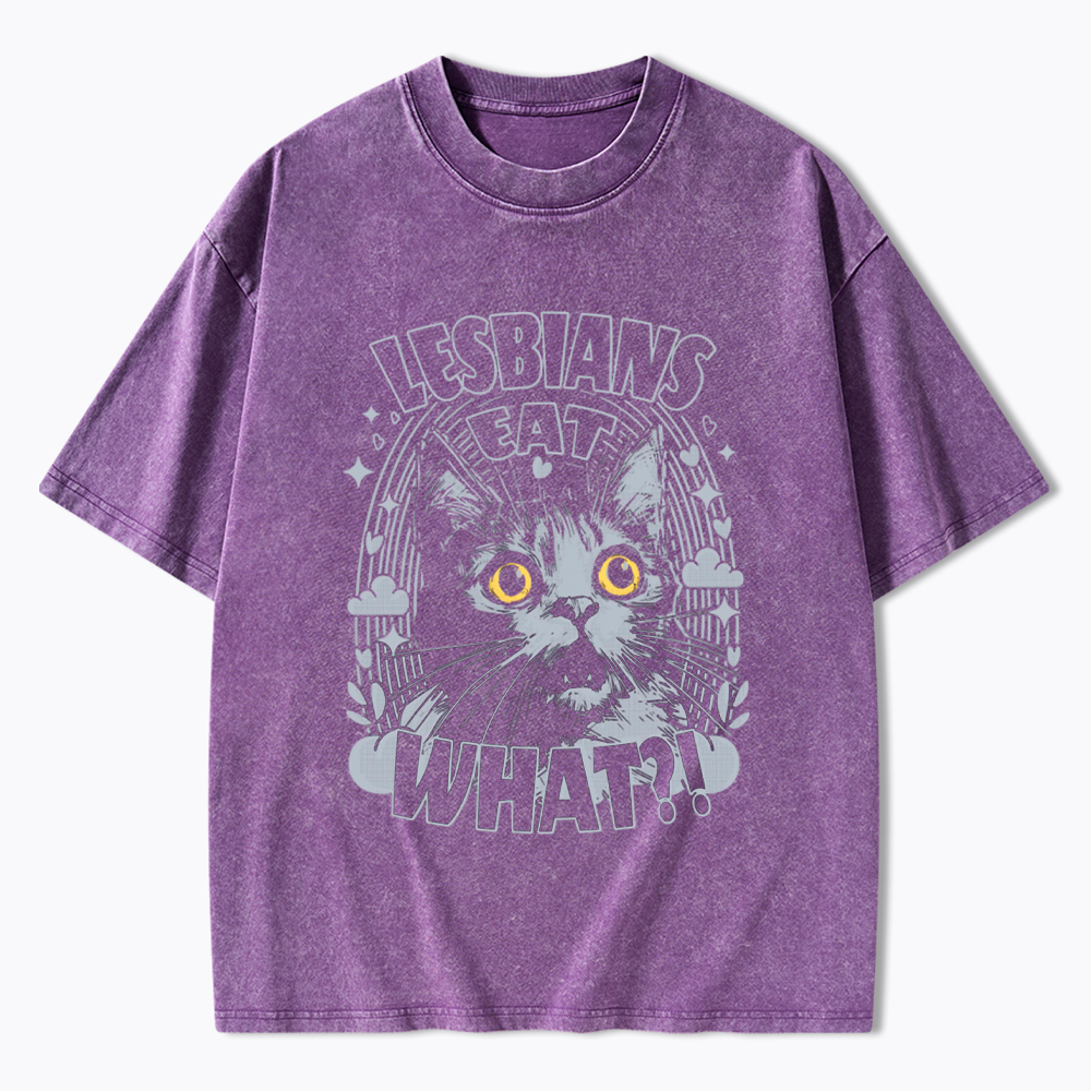 Cat LGBTQ Lesbians Eat what Washed T-Shirt