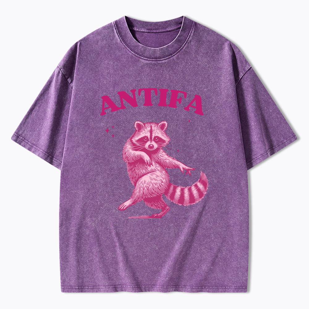 Raccoon Meme Washed T-Shirt