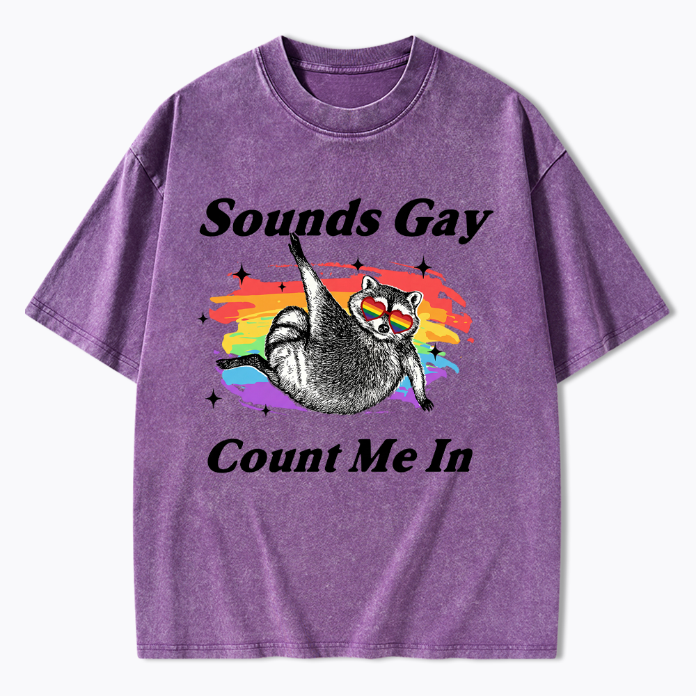 Sounds Gay Raccoon Pride  Washed T-Shirt