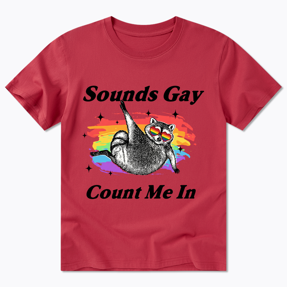 Sounds Gay Raccoon Pride  Classic T-Shirt